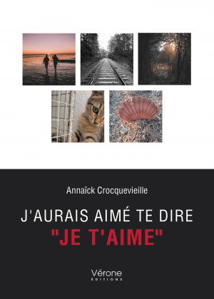 Annaïck Crocquevieille - J'aurais aimé te dire 