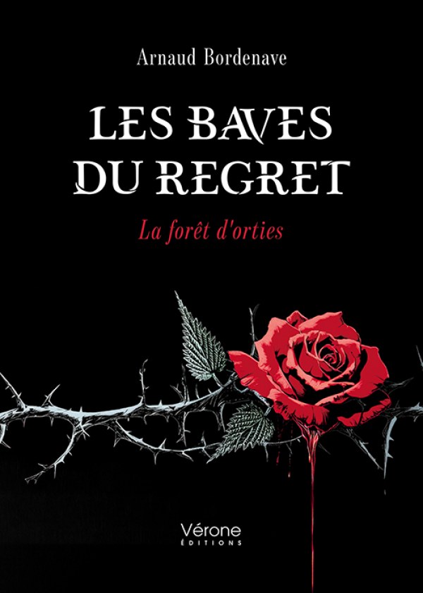Arnaud BORDENAVE - Les baves du regret