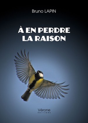 Bruno LAPIN - A en perdre la raison