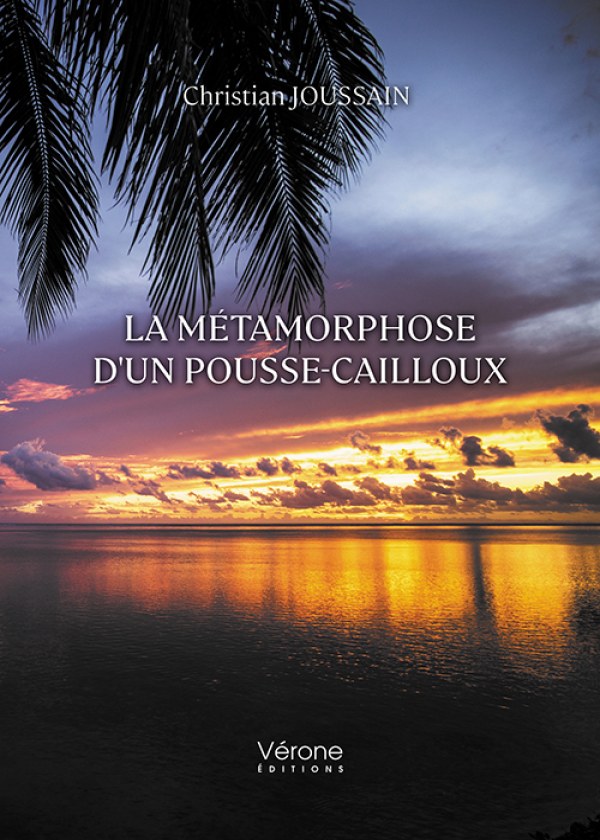 JOUSSAIN CHRISTIAN - La métamorphose d'un pousse-cailloux