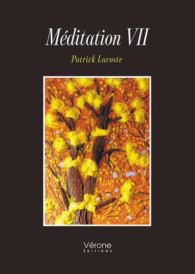 Patrick LACOSTE - Méditation VII