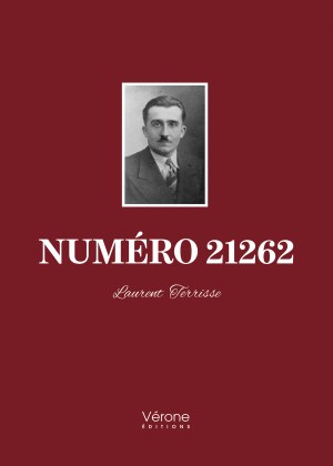 Laurent TERRISSE - Numéro 21262