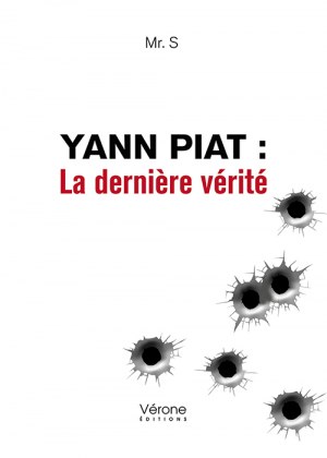 Mr. S  - Yann Piat : La dernière vérité