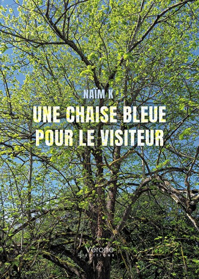 NAÏM  K  - Une chaise bleue pour le visiteur