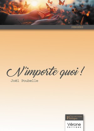 POUBELLE JOEL - N'importe quoi !